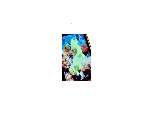 solsta-ritdisplay-0-95-zoll-full-color-oled-display image 1